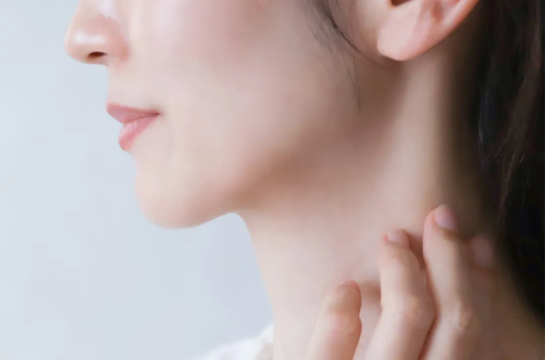 エステティックライン(真横から見た口元のバランスの基準線)