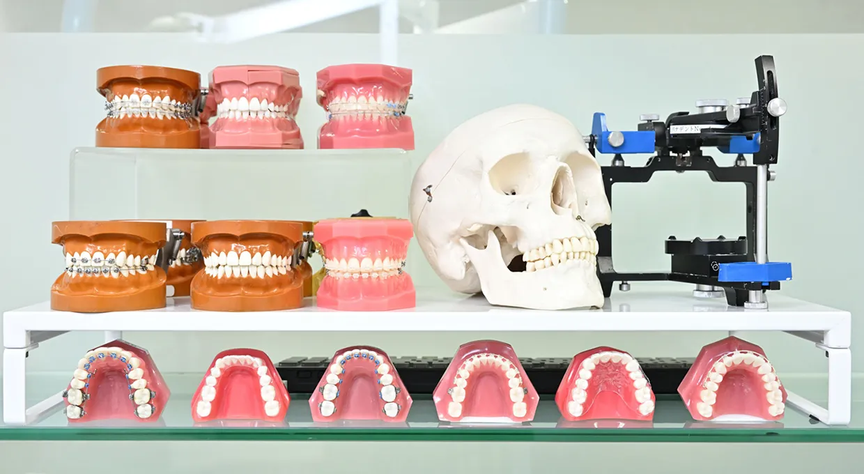 Feature 05 成長段階に合った適切な矯正治療