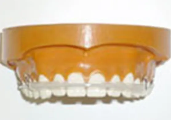 当院オリジナルの透明なパッド付き保定装置02